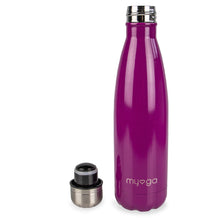 Load image into Gallery viewer, Plum 500ml Drinks Bottle Gift Ryder