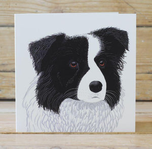 Dizzy the Border Collie Card Stationery Bird 