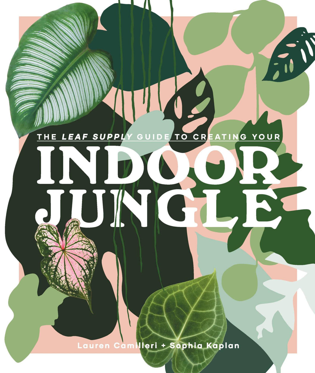 Indoor Jungle Book Gift Abrahms and Chronicle 