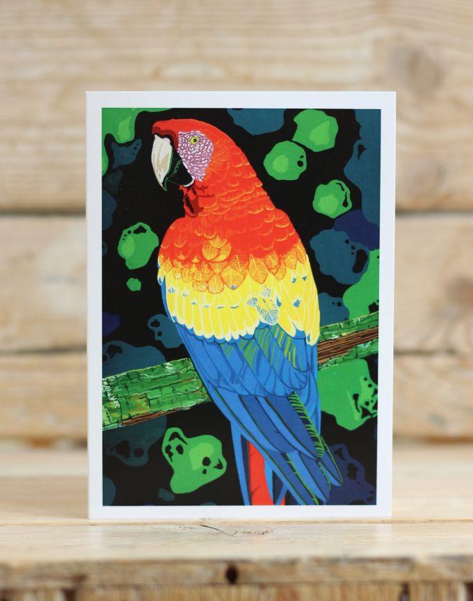 Macaw Card Stationery Bird 