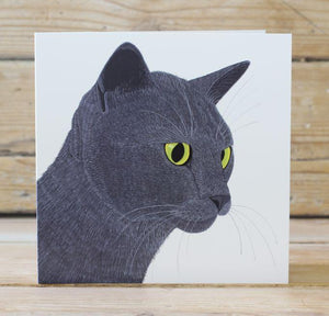 Smokey the Cat Card Stationery Bird 