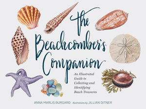 The Beachcomber's Companion Book Gift Abrahms and Chronicle 